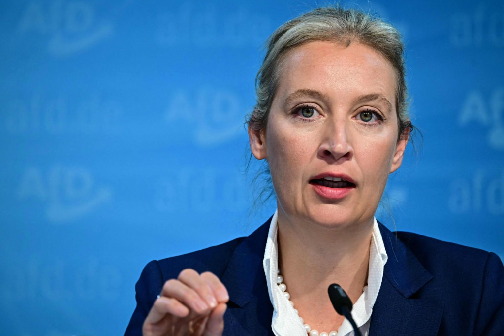 &lt;p&gt;Alice Weidel&lt;/p&gt;

&lt;p&gt;AFP&lt;/p&gt;