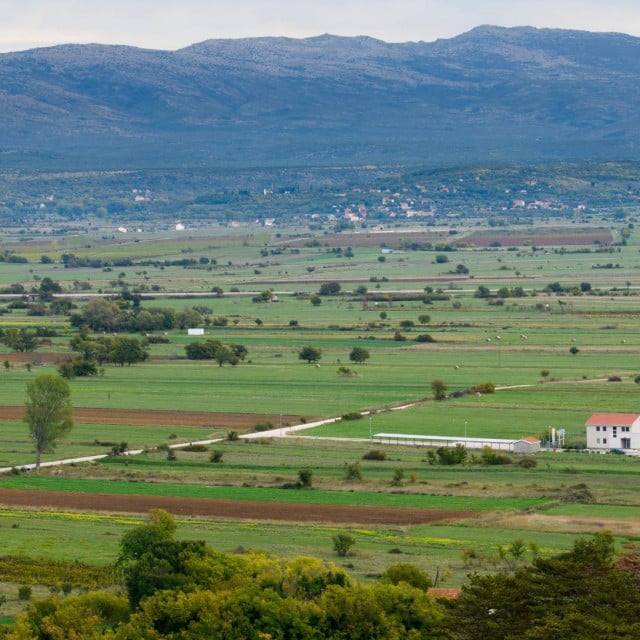 &lt;p&gt;Pogled na Petrovo polje&lt;/p&gt;