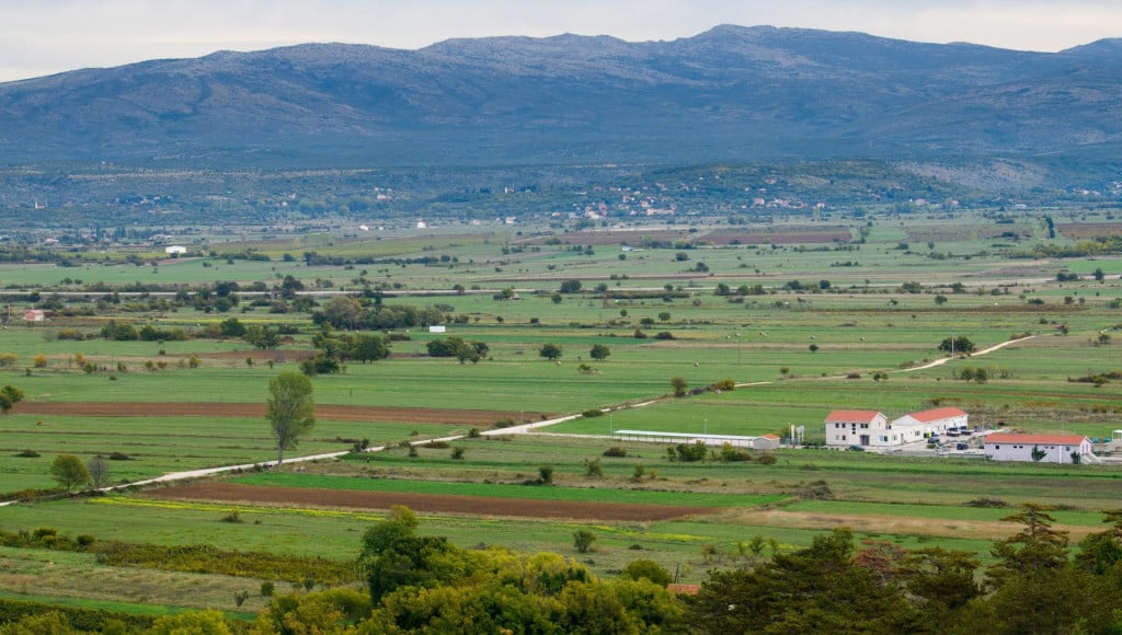 &lt;p&gt;Pogled na Petrovo polje&lt;/p&gt;