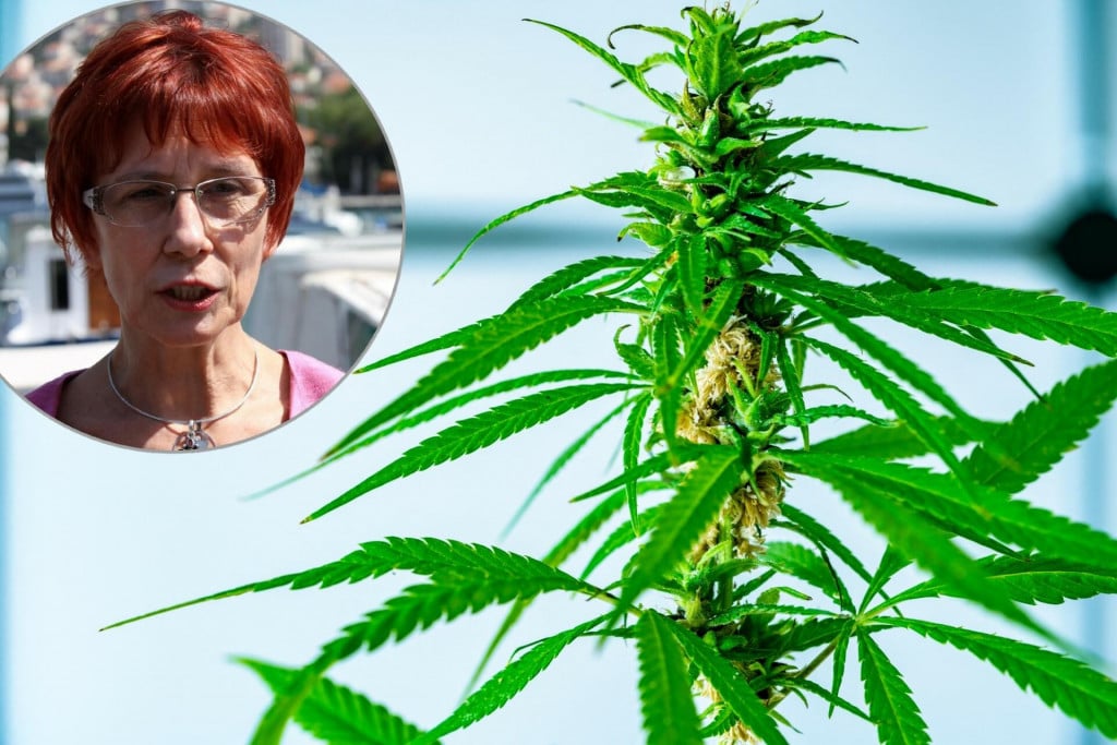 &lt;p&gt;Dr. Matija Čale Mratović, specijalistica školske medicine: Marihuana je danas dostupnija nego ikad. Nudi se na ulici, u smart shopu, kafiću, oko škole, kažu ponekad čak i u školi, može se nabaviti na internetu...&lt;/p&gt;