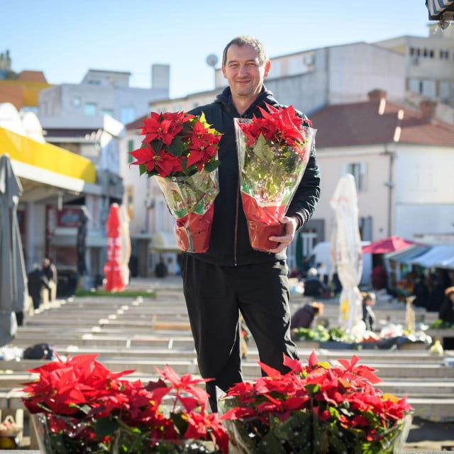 &lt;p&gt;&lt;br&gt;
Davor Flajsman, prodaje bozicne zvijezde na trznici.&lt;br&gt;