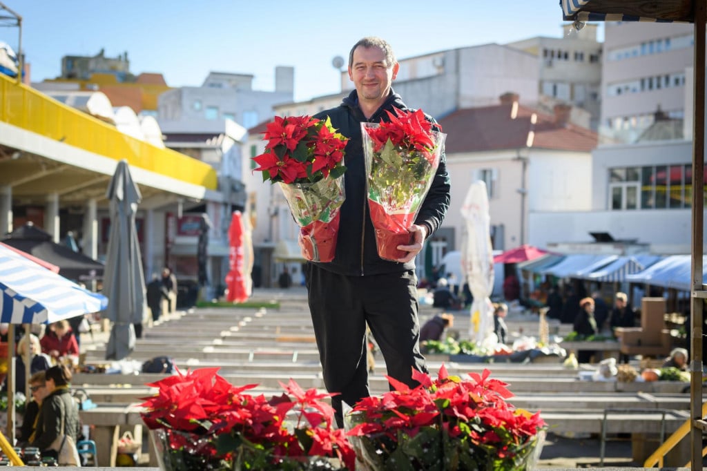 &lt;p&gt;&lt;br&gt;
Davor Flajsman, prodaje bozicne zvijezde na trznici.&lt;br&gt;