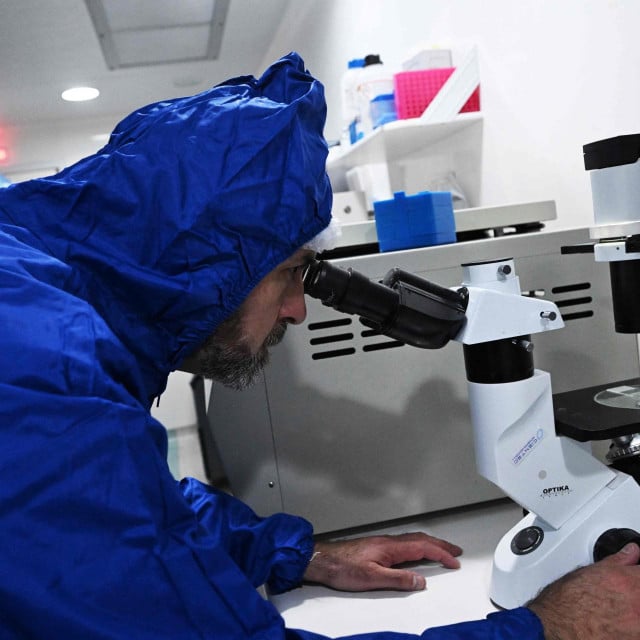 &lt;p&gt;Leonardo Saenz, an academic at the Faculty of Veterinary Sciences of the University of Chile (Favet), works at his laboratory, where he created the world‘s first vaccine to sterilize dogs without the need for surgical castration in Santiago on October 3, 2024. A unique vaccine developed by Chilean scientists that acts as a planning method for dogs has begun to be marketed in Chile. The antigen is an immunologic that releases antibodies that block for one year the production of sex hormones in both males and females. (Photo by RODRIGO ARANGUA/AFP)&lt;/p&gt;