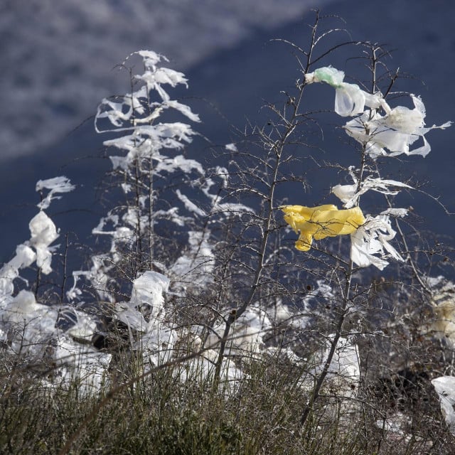 &lt;p&gt;Plastične vrećice ogromna su prijetnja okolišu i zdravlju ljudi i životinja. Štetne navike treba drastično mijenjati&lt;/p&gt;