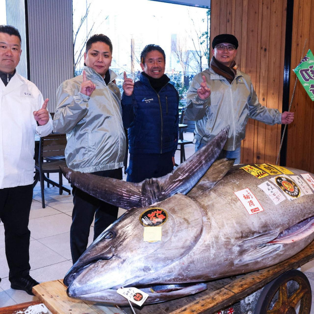 &lt;p&gt;Tuna je imala 276 kilograma&lt;/p&gt;