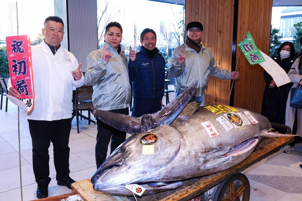 &lt;p&gt;Tuna je imala 276 kilograma&lt;/p&gt;