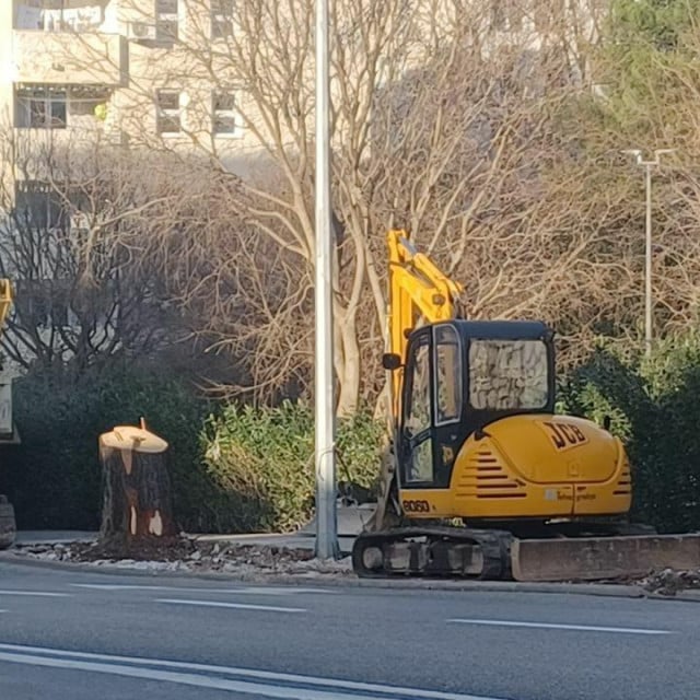 &lt;p&gt;Radovi na sadnji novog drvoreda na Bulevaru počeli su uklanjanjem nogostupa s jedne strane ulice&lt;/p&gt;