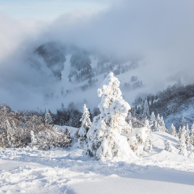 <p>Sori&scaron;ka planina u Sloveniji</p>