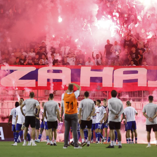 30019239