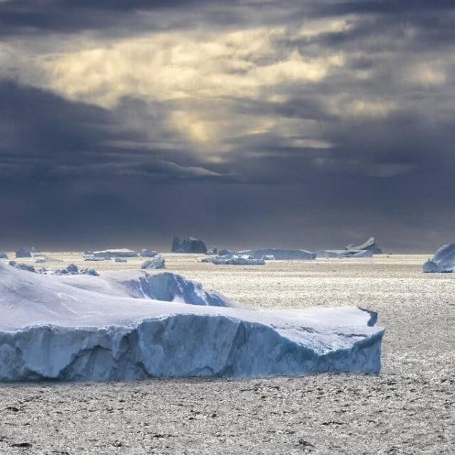 <p>Neobično stvorenje uočili su&nbsp;stručnjaci iz Schmidt Ocean Institutea&nbsp;&nbsp;oko dva kilometra ispod povr&scaron;ine leda u blizini Južnih Sendvičkih otoka&nbsp;(ilustracija)&nbsp;</p>