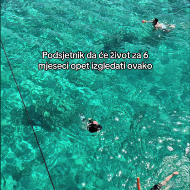 <p>tiktok screenshot</p>