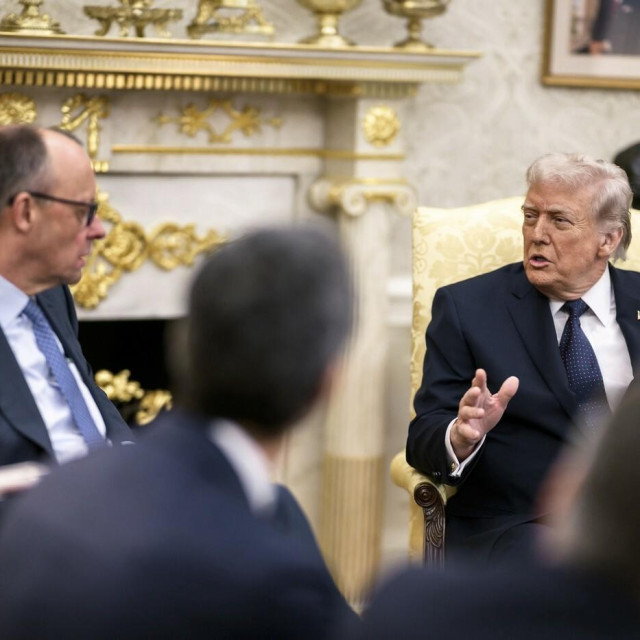<p>Friedrich Merz i Donald Trump u Bijeloj kući</p>