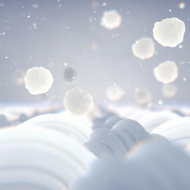 31640599