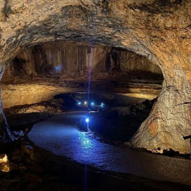 <p>&Scaron;pilja Vjetrenica je remek djelo prirode vrijedno obilaska</p>