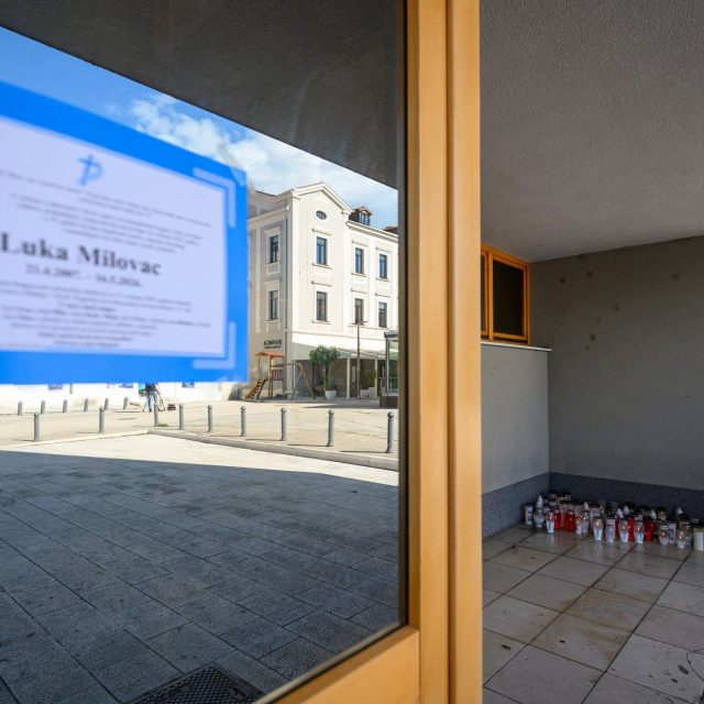 <p>Luku nitko ne može vratiti na ovaj svijet, ali njegov slučaj može nas potaknuti da si posvijestimo da nam je Svevi&scaron;nji osim razuma podario i &ndash; srce</p>