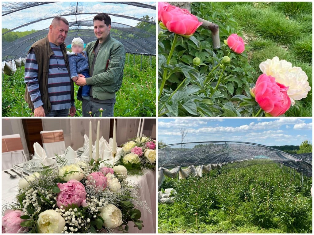 <p>Primjer OPG-a Ledinski pokazuje kako florikultura u Hrvatskoj može uspjeti, ali samo uz dugoročno planiranje, specijalizaciju i stalno prilagođavanje trži&scaron;tu</p>