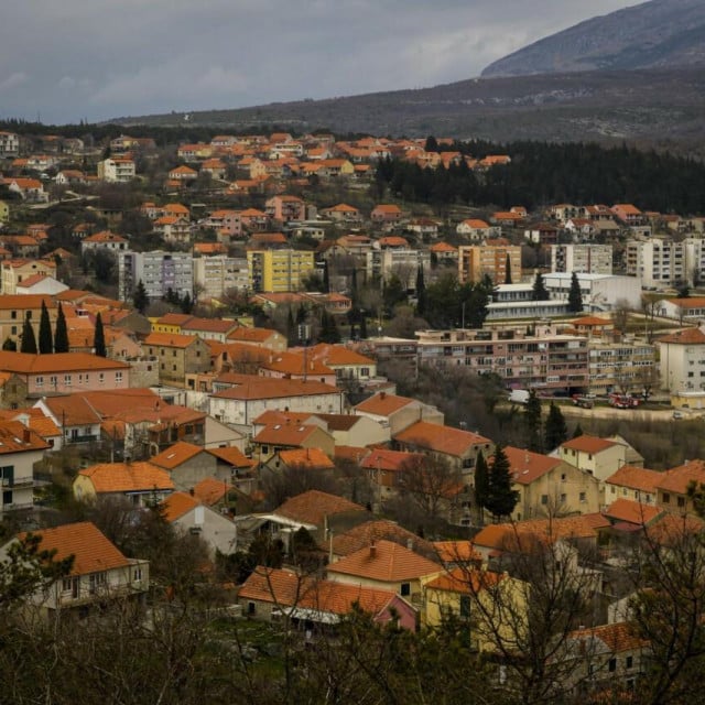 <p>Drni&scaron;</p>