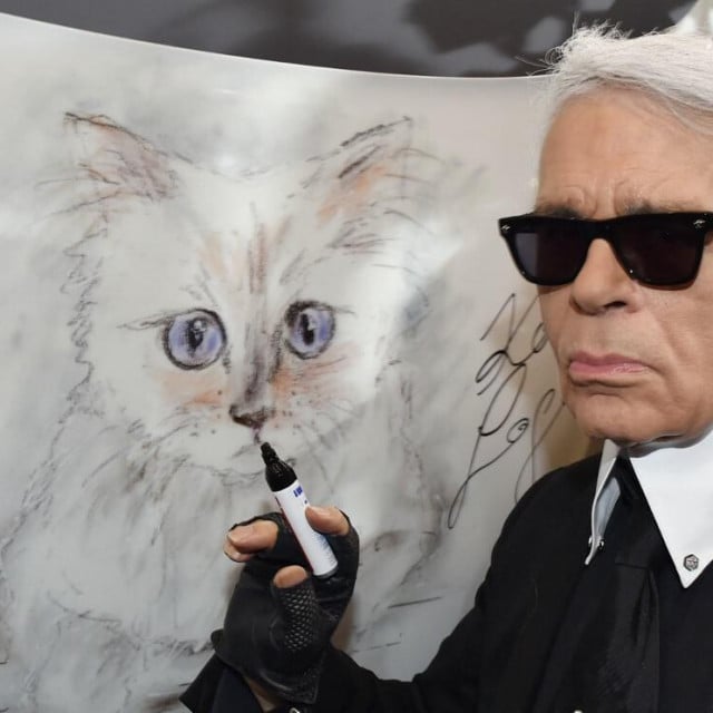 <p>Karl Lagerfeld uz sliku njegove mačke Choupette&nbsp;2015. godine</p>