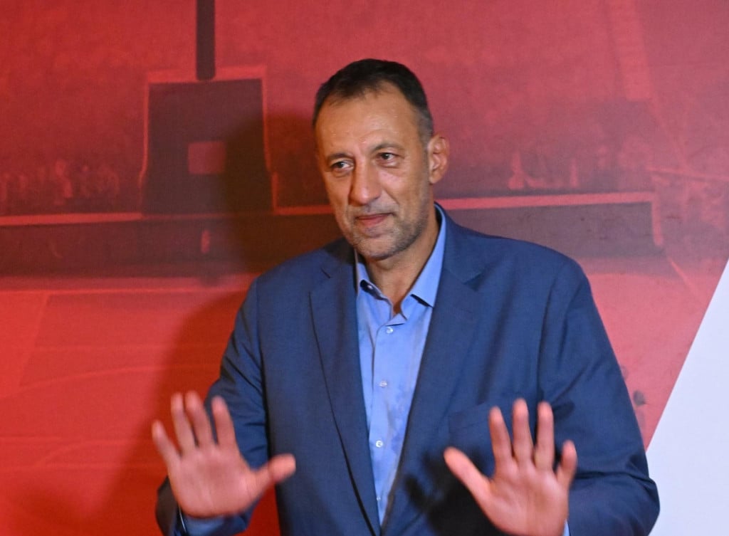 <p>Vlade Divac</p>