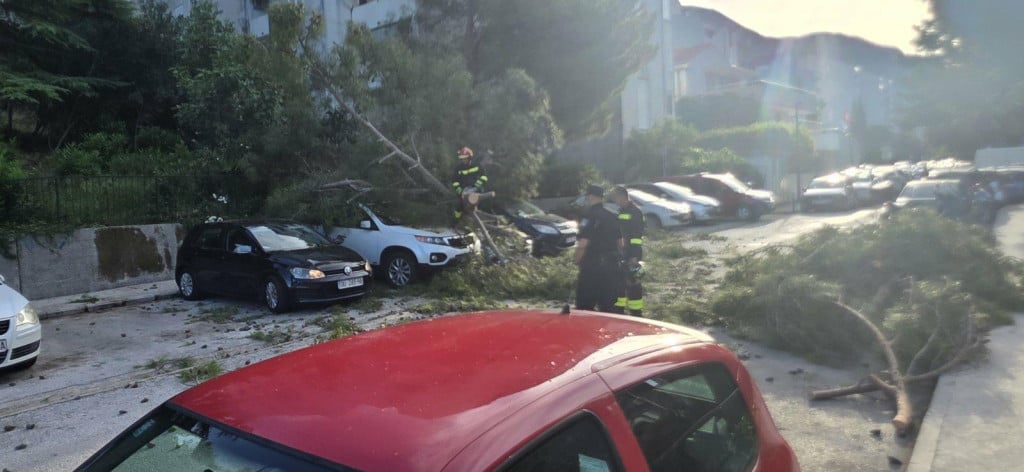<p>Uklanjanje stabala na području Dubrovnika</p>