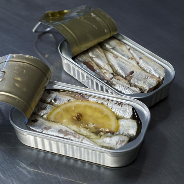 <p>Sardine</p>