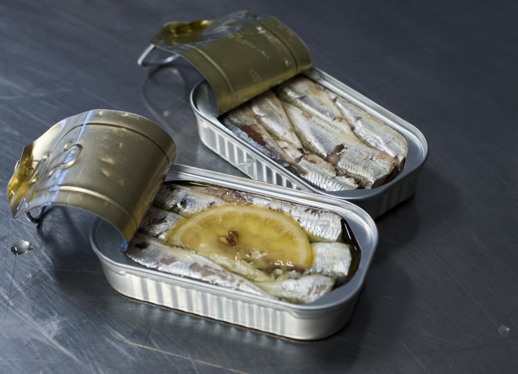 <p>Sardine</p>