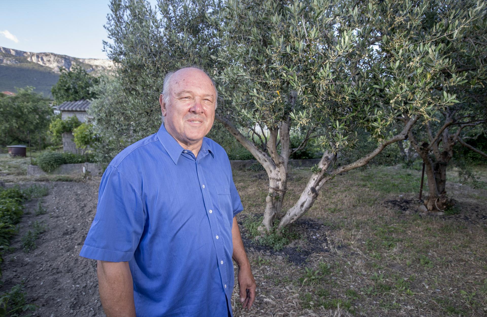 Dr. sc. Ivica Ljubenkov otkrio nam je zašto ni nakon duge borbe dalmatinsko maslinovo ulje još nema oznaku izvornosti: Nosi nas dišpet!