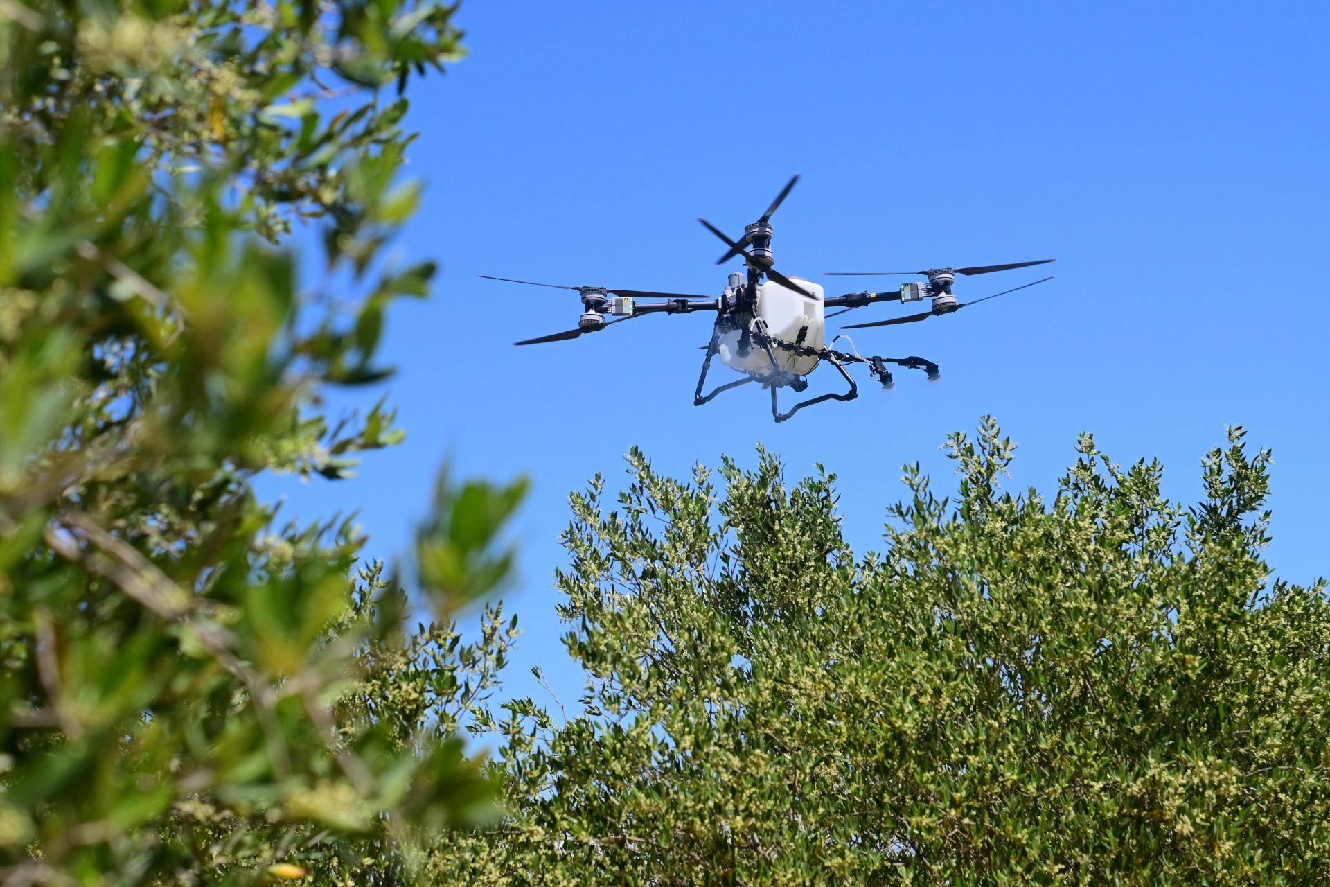 Bili smo na preciznoj aplikaciji folijarnih gnojiva dronom: demonstracija u vinogradu i masliniku oduševila je proizvođače