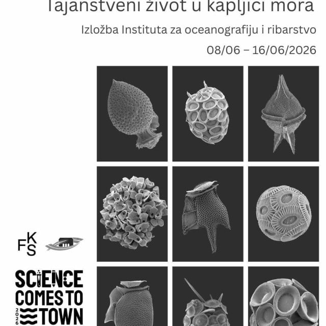<p>Plakat izložbe</p>