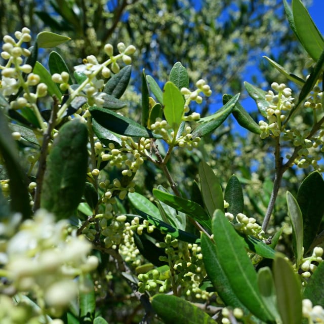 <p><br>
&nbsp;</p>