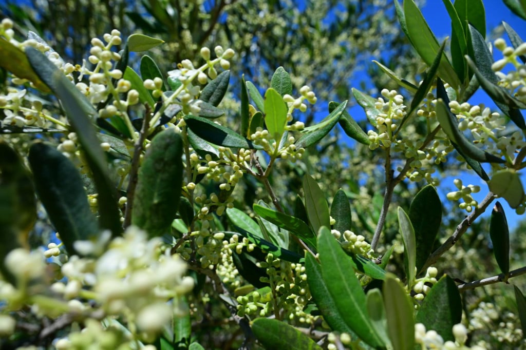 <p><br>
&nbsp;</p>