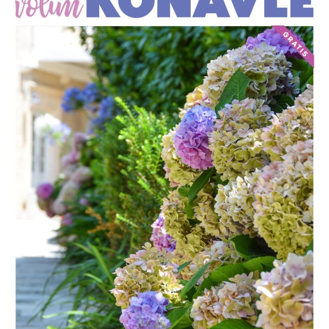 <p>Iza&scaron;ao 7. broj časopisa Volim Konavle</p>