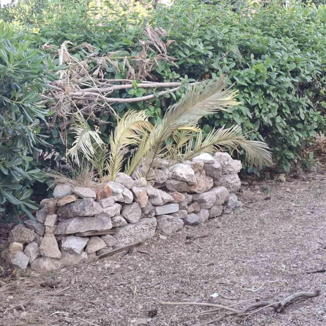 <p>Smeće i nered u parku Baltazara Bogi&scaron;ića</p>