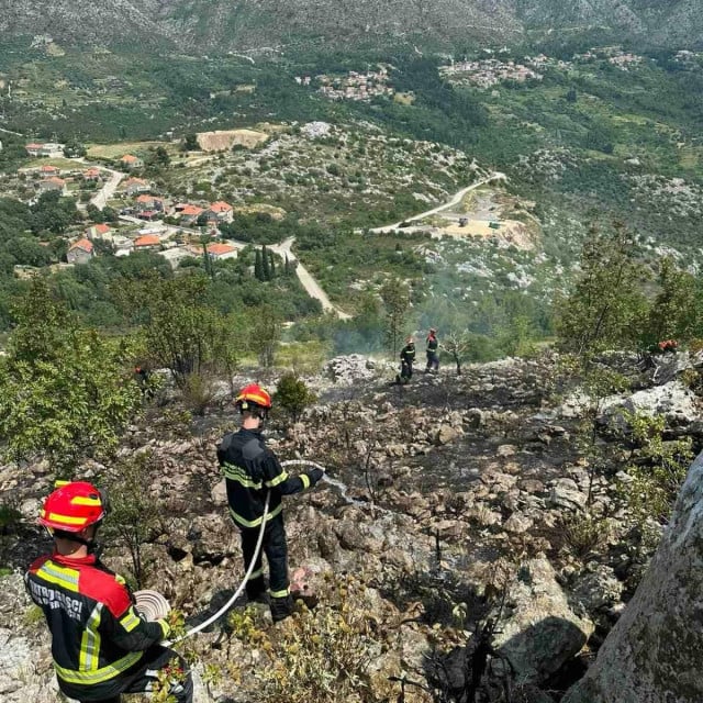 <p>Požar kraj Gornjeg Brgata</p>