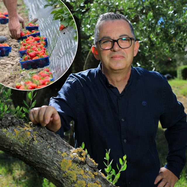 <p>Agronom Igor Gomezelj:&nbsp;&lsquo;Mnogi mladi poljoprivrednici dobro proizvode, ali slabo prodaju. Njihov je problem plasman u trgovačke lance, organizacija dostave, promidžba i &lsquo;brendiranje&lsquo; proizvoda...&lsquo;</p>