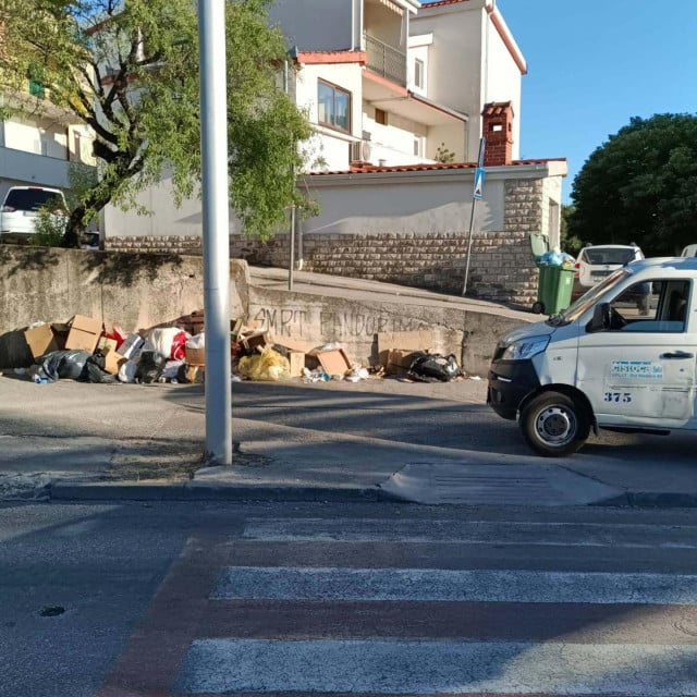 31917558
