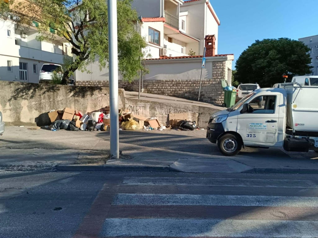 31917558