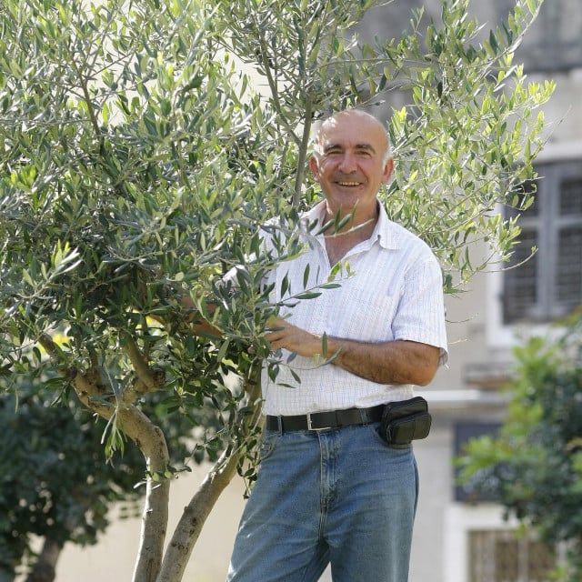 <p>Stanislav &Scaron;tambuk redovito daje maslinarima dobre savjete</p>