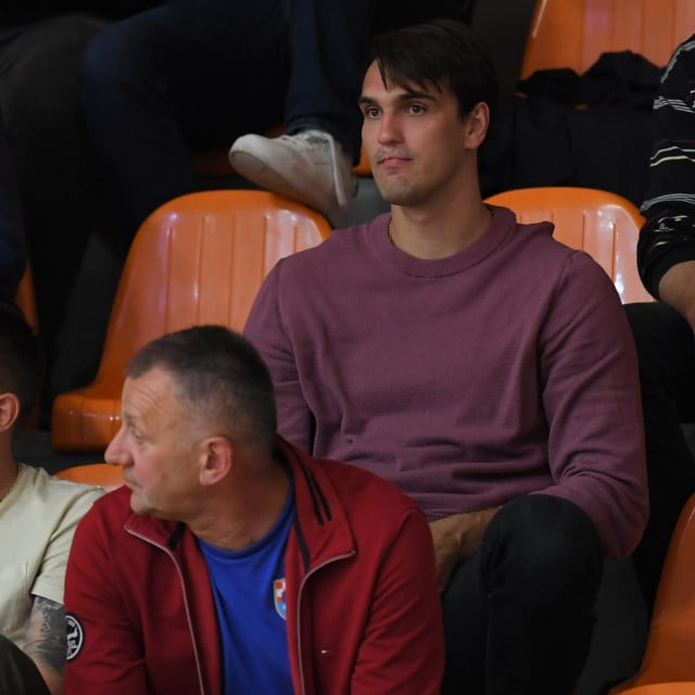 <p>Dario &Scaron;arić</p>