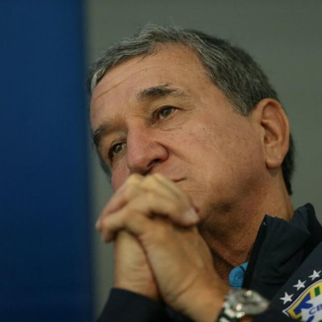 <p>Carlos Alberto Parreira</p>