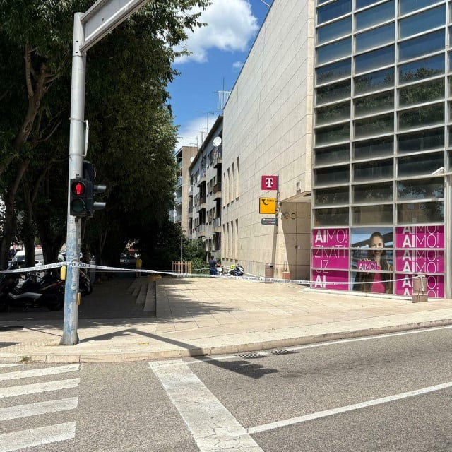 31955613