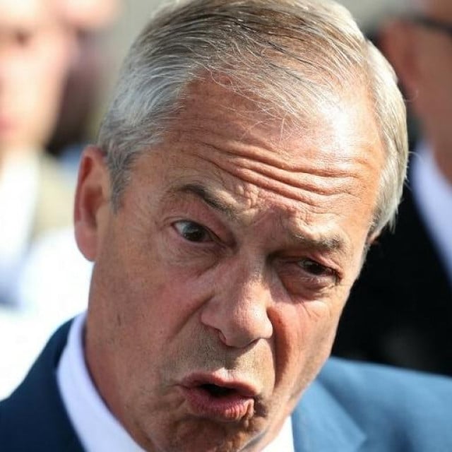 <p>Nigel Farage</p>