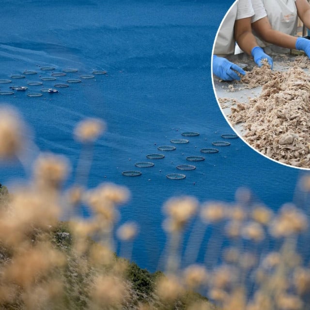 <p>Riboprerađivačka&nbsp;djelatnost&nbsp;zapo&scaron;ljava značajan broj ljudi i u nju se zadnjih godina ulažu znatna materijalna sredstva...</p>
