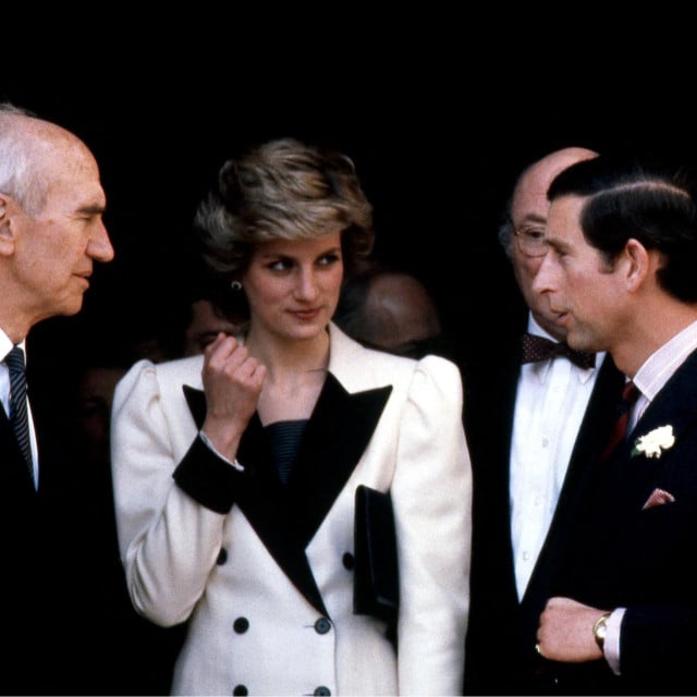 <p>Princ&nbsp;Charles i princeza Diana</p>