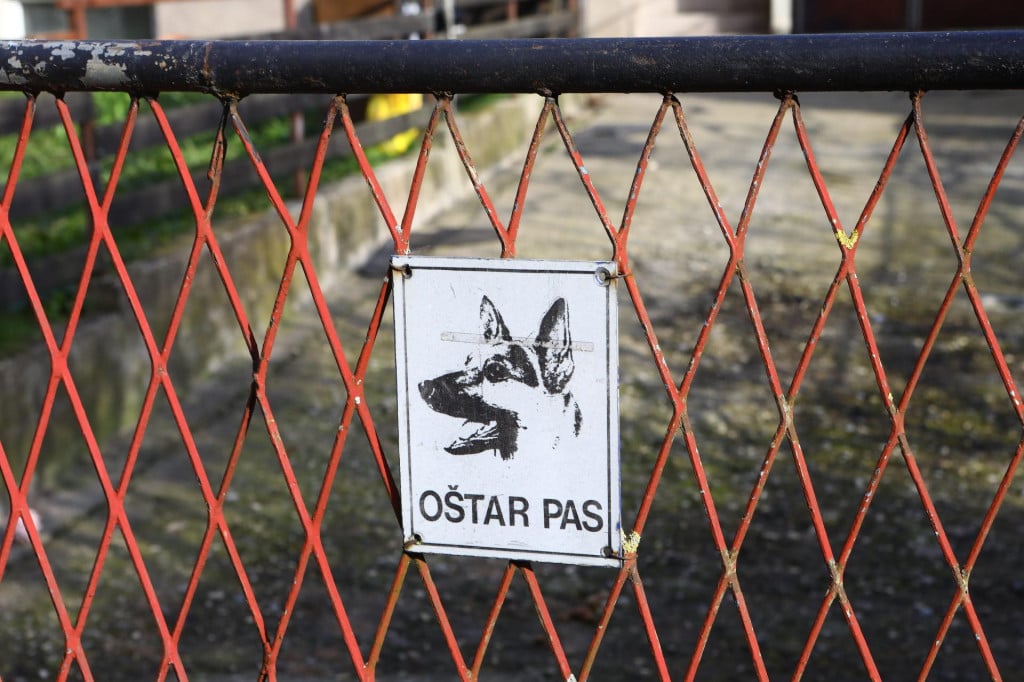 <p>Ozlijeđeni pas uginuo je na putu prema dežurnom veterinaru u Splitu</p>