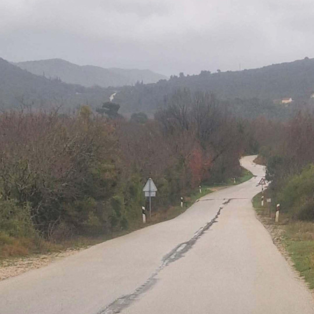 <p>Sporna cesta u ljetnim je mjesecima obrasla zelenilom koje ometa promet</p>