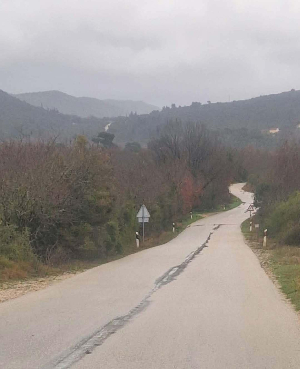 <p>Sporna cesta u ljetnim je mjesecima obrasla zelenilom koje ometa promet</p>