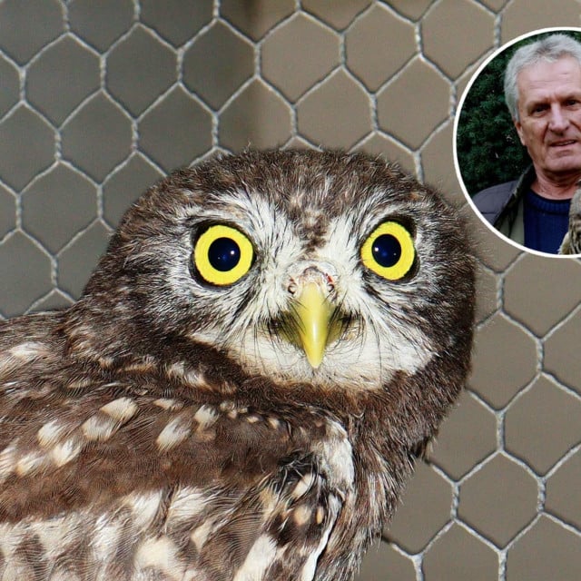 <p>Bari&scaron;a Ilić ne može se načuditi intertnosti nadležnih službi</p>