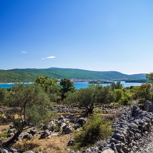 <p>NASLOVNA</p>