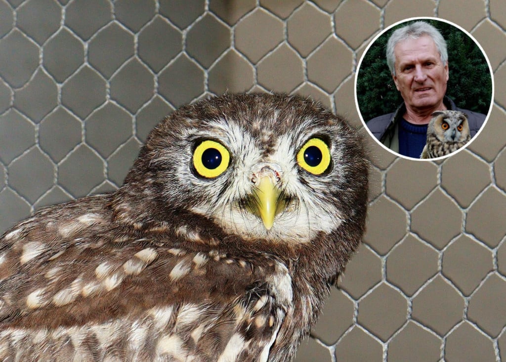<p>Bari&scaron;a Ilić ne može se načuditi intertnosti nadležnih službi</p>